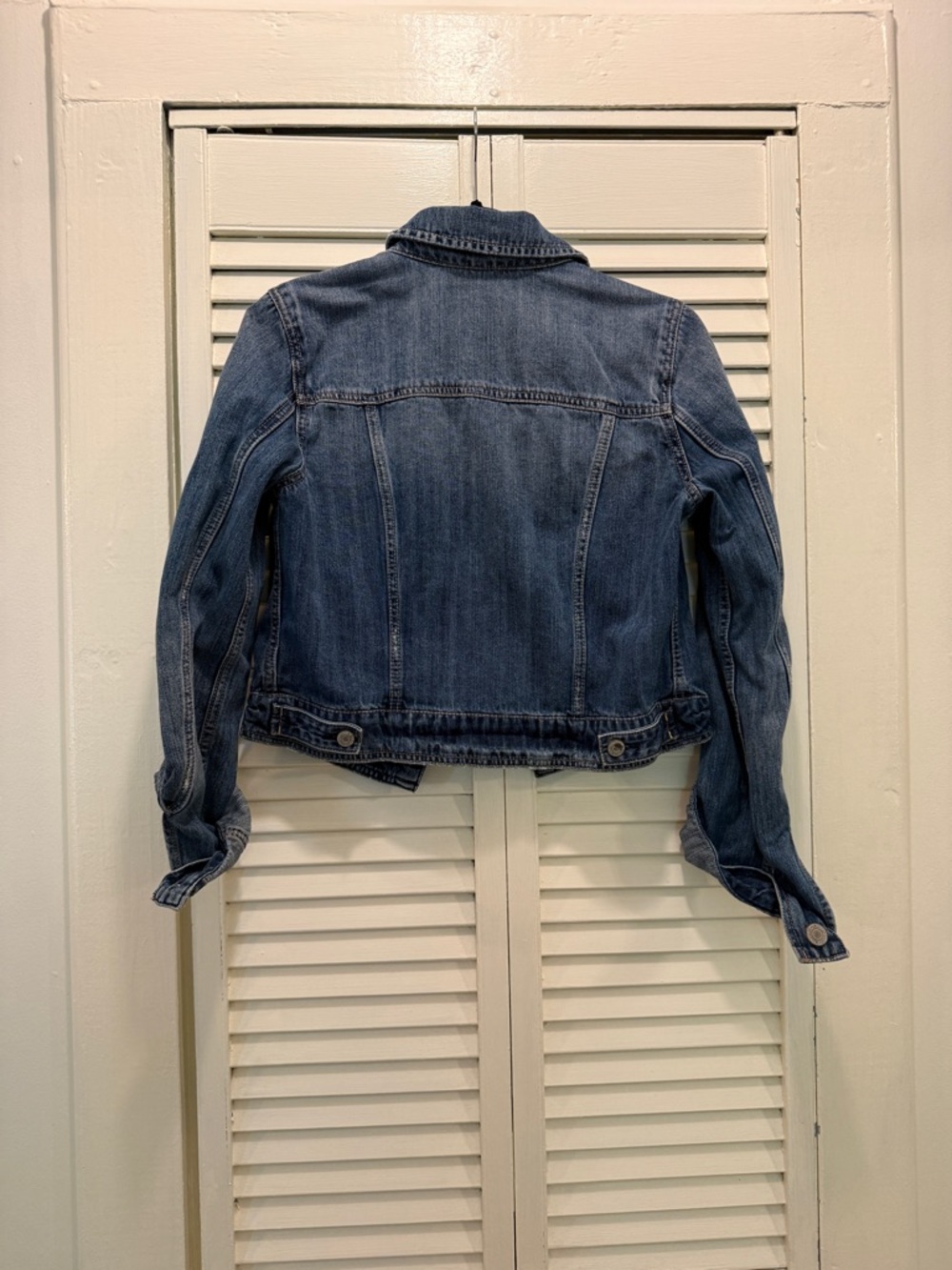 American Eagle Outfitters Blue Denim Embroidered Lemon Jacket - Picture 5 of 5